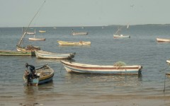 Mozambique has increased fuel prices, meaning that some fishermen cannot afford the fuel to go fishing