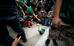 People in Mexico City gather around Merlin, a duck who has become a huge star thanks to the World Cup