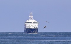 The global health scare sparked by a hantavirus cruise ship outbreak appears to have come to an end