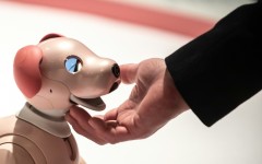 Aibo dogs can perform tricks like waving and mimicking its owner