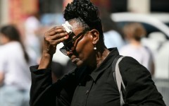 The heat index in New York City stood at around 105F (41C) in the mid-afternoon of Friday