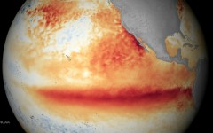 El Ninos are linked with warming sea surfaces in the eastern tropical Pacific, with global knock on effects, including wetter winters in East Africa