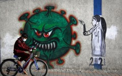 How will your country fare during the next pandemic? Its level of inequality is the best predictor, research has shown
