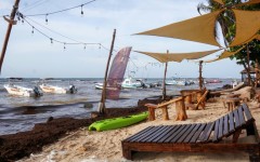 Sargassum covers the beach in Playa del Carmen on June 18, 2025