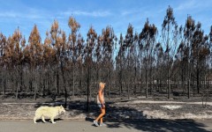 The Arcachon fire incinerated some 42,000 hectares (104,000 acres) of pine forest along the Atlantic coastline, destroying some 240 homes in its wake