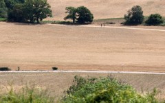 People walk on a dirt track between dry fields, turned brown from the heat of the sun near Guildford, southwest of London