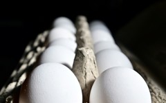 Cracked it: Egg prices became a rallying point for Donald Trump in 2024's presidential election campaign