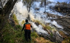 A wildfire has razed 176 hectares in Indonesia's Bromo Tengger Semeru National Park, which lies near Mount Bromo in East Java
