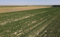 Kazakhstan has been grappling with severe droughts and water shortages