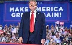 Republican leaders have decided that the best midterm strategy is more of US President Donald Trump, not less
