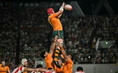 Harry Wilson (top C) returns to captain Australia against Argentina this weekend