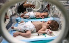 The war in Gaza has devastated the territory's healthcare system, leaving premature babies even more vulnerable