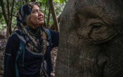 Farina Othman, a Borneo elephant conservationist and founder of Seratu Aatai, talks to a female elephant after a GPS collaring operation carried out as part of a collaboration involving several agencies near the Kinabatangan River in Sukau