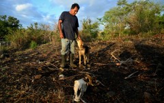Animals are dropping dead amid the worst drought in living memory for many Central Americans, who are grappling with the unforgiving effects of the powerful El Nino weather pattern