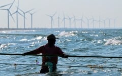 The government aims to generate 70 percent of the country's electricity from renewable sources by 2030, including wind power. But it has frozen new projects in Mannar to ease local opposition