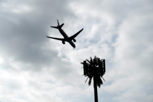 A cellular tower disguised as a palm tree at Los Angeles International Airport is pictured in January 2022 as aviation regulators and telecom companies work to address safety concerns connected to the activation of 5G service