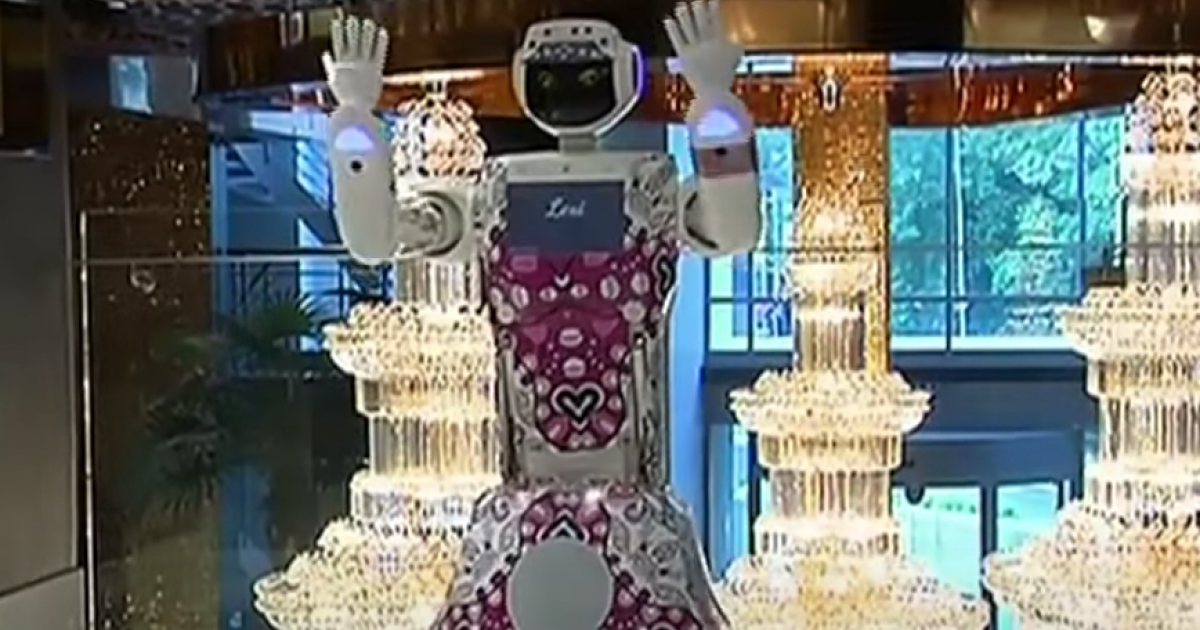 Robotics meet hospitality at Cape Town hotel | eNCA
