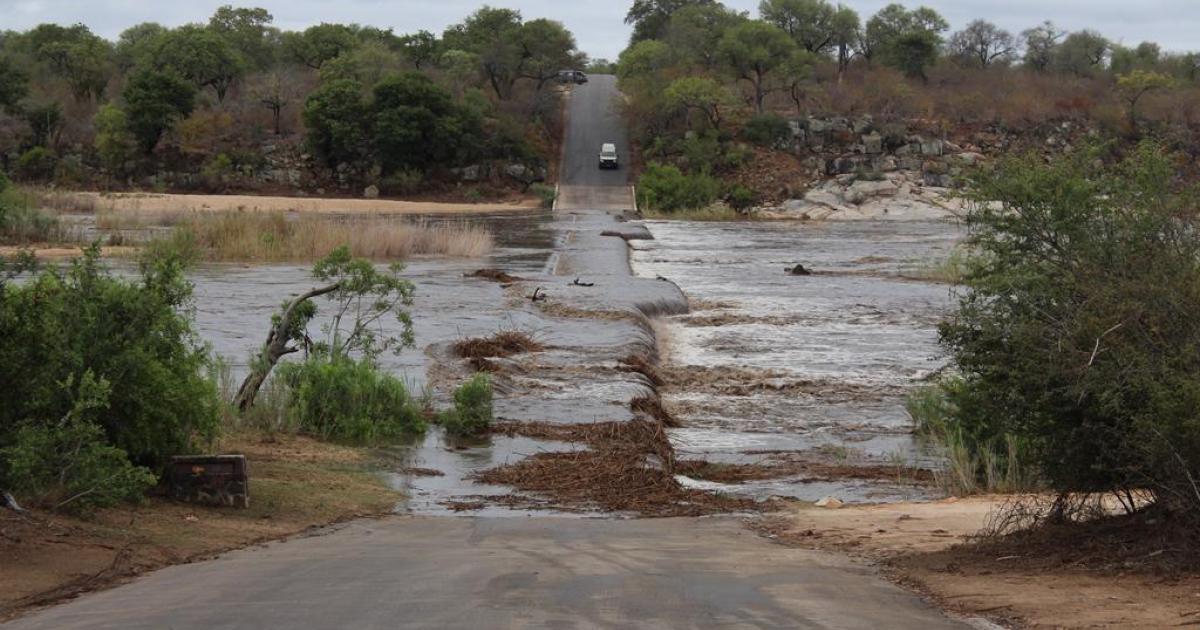 Rain stops game at Kruger Park  eNCA