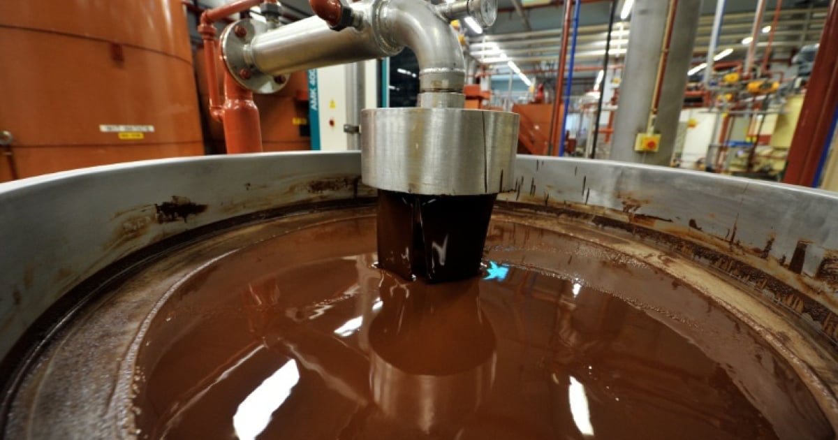 Salmonella found in world's biggest chocolate plant - eNCA