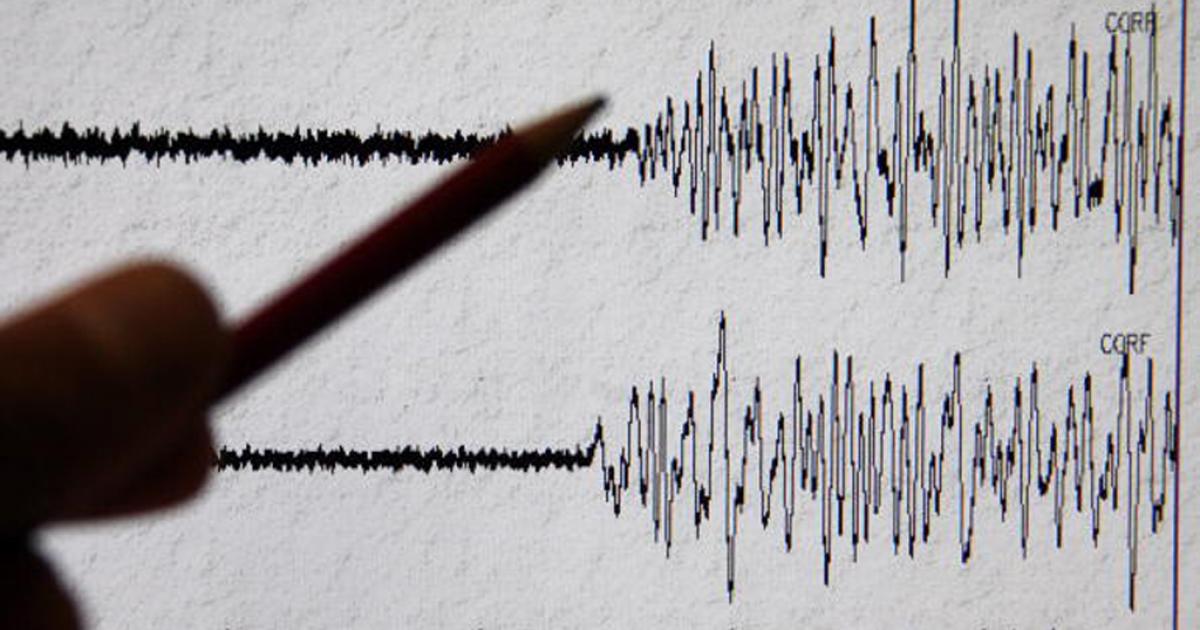 4.2 earthquake shakes gauteng