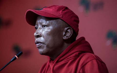 EFF leader Julius Malema. Per-Anders Pettersson/Getty Images