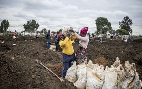 A woman grimaces as she is helped to load a sack of soil on her shoulder in a patch of land where artisanal miners look for gold outside Springs, Ekurhuleni, on February 15, 2026.