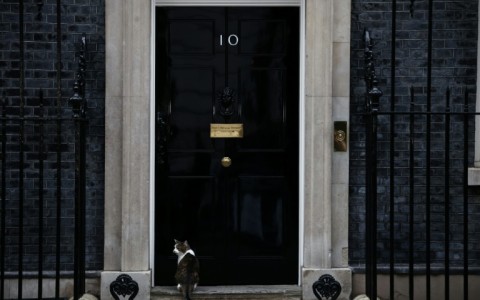 Larry waits to be let in at the door of No. 10 Downing Street, the official residence of Britain's prime minister