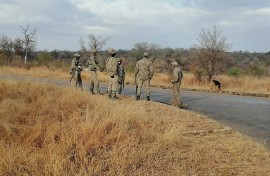 eNCA's Slindelo Masikane in Mpumalanga with cameraman Tebogo Masilo to explore what it's like to travel during a pandemic. First stop, the Kruger National Park.