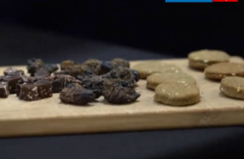 Mopane worms edibles