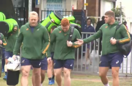 Springbokke