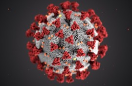Covid-19 virus