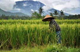 Bali is no stranger to badly behaved tourists. Last year almost 200 people were deported from the island, some of them for violating Covid-19 protocols