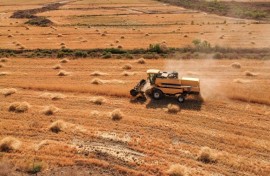 Drought, conflict and low stocks are creating a perfect storm on global wheat markets.