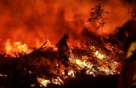 Fires in France have led to the highest levels of carbon pollution since records began