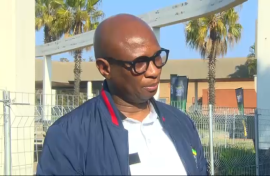 Zizi Kodwa