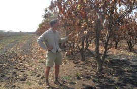 Zimbabwe farms