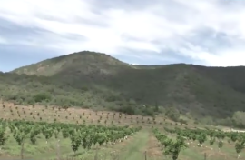 Eastern Cape disputed land