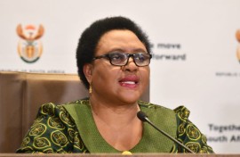 Minister Thoko Didiza.