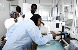Scientific staff work in a secure laboratory, researching the coronavirus, at the Pasteur Institute in Dakar.