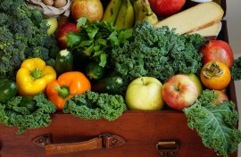 WEB_PHOTO_organic fruits and vegetables.jpg