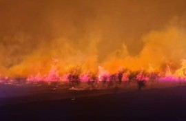 Fire