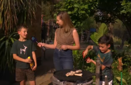 Nasionale Braaidag