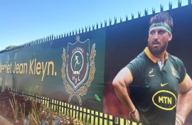 Springbokke