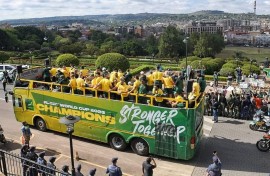 Springbokke