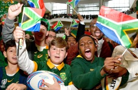 Springbokke