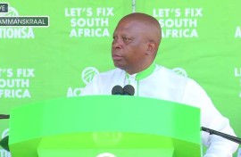Herman Mashaba