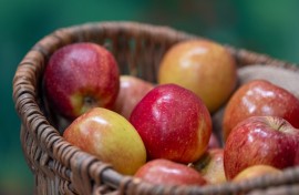 File: A basket of apples.
