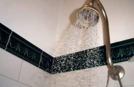 File: A shower. Wikimedia Commons