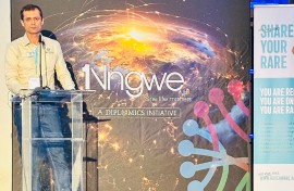 Nngwe