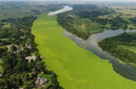 Vaalrivier 
